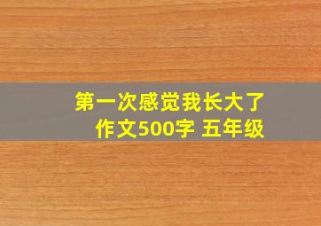 第一次感觉我长大了作文500字 五年级